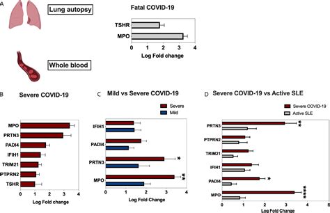 Frontiers Enhanced Expression Of Autoantigens During Sars Cov Viral