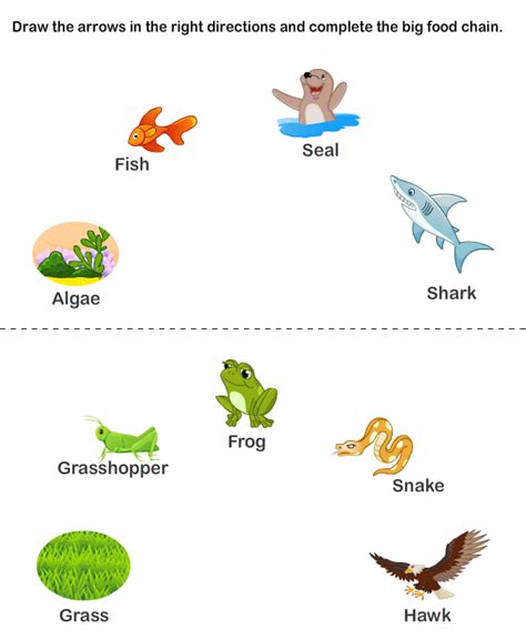 Download this free vector about arctic food chain pyramid, and discover more than 14 million professional graphic resources on freepik. food chain pyramid | Earth Mama's World
