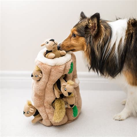 5 Toys All Dogs Should Have In Their Dog Toy Box