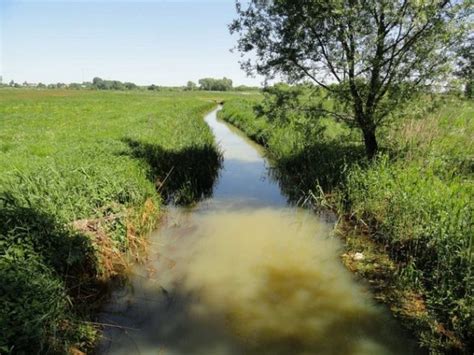 Een samenwerking die voor iedereen loont. Natuurpunt De Wielewaal