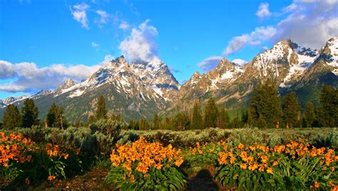 Springtime In The Mountains