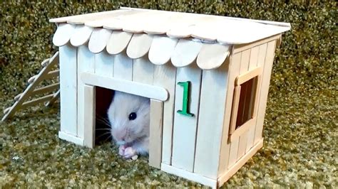 How To Make Babe Hamster House Very Easy Quick DIY Hamster House Diy Hamster House