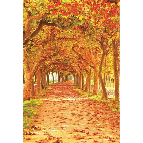 Greendecor Polyster 5x7ft Fall Scenery Photography Autumn Backgrounds