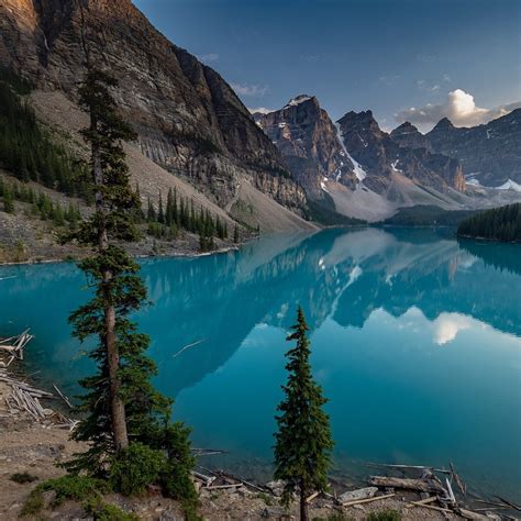 Lake Louise Campground Lago Louise Canadá Opiniones Y Comentarios