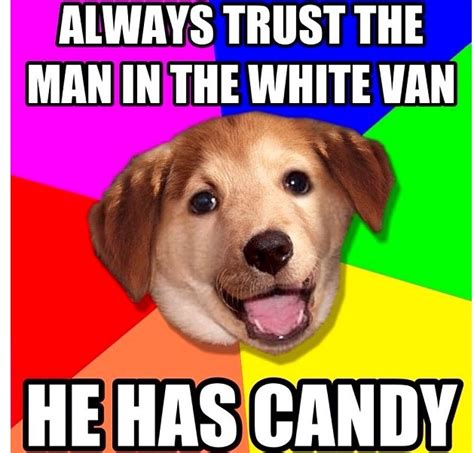 10 Best Advice Dog Images On Pinterest Dog Memes All Alone And Funny