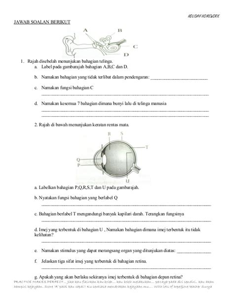 Soalan peperiksaan, soalan percubaan, soalan kbat, nota, modul, jawapan, latihan … Latihan Pengukuhan Sains Ting 2