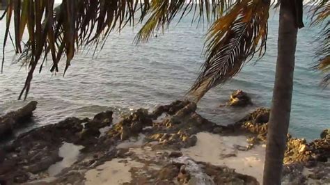 Bloody Bay Beach Negril Jamaica Youtube