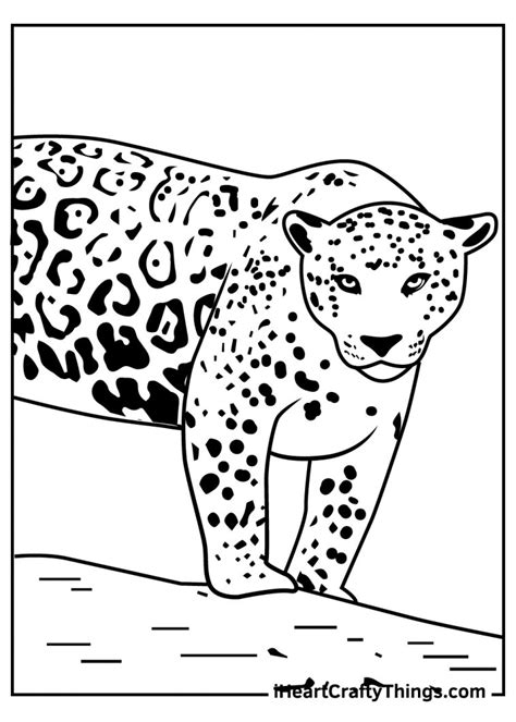 Jaguar Coloring Sheet