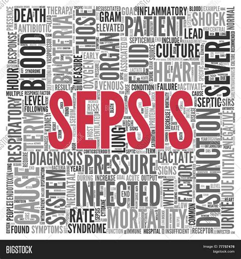 Close Red Sepsis Text Image And Photo Free Trial Bigstock