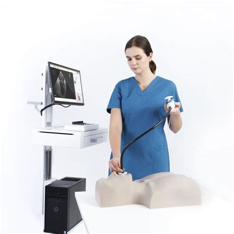 Mini Invasive Surgery Simulator Mrteemothy® Tee Medical Simulation