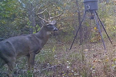 One Year Later Huntstand Helps Anchor Ar 14 Point Big Buck Alert
