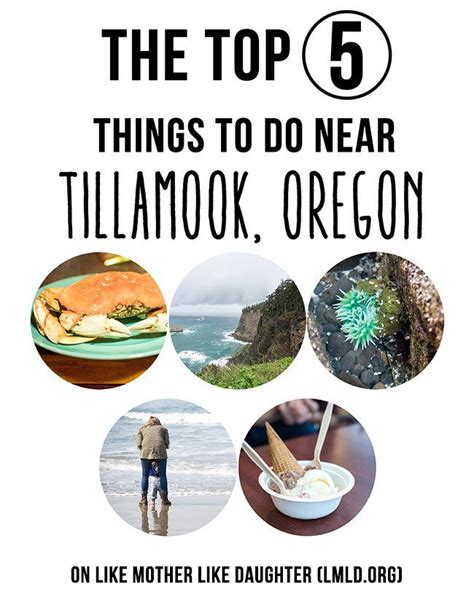 the top 5 tillamook smaller | Oregon coast vacation, Tillamook