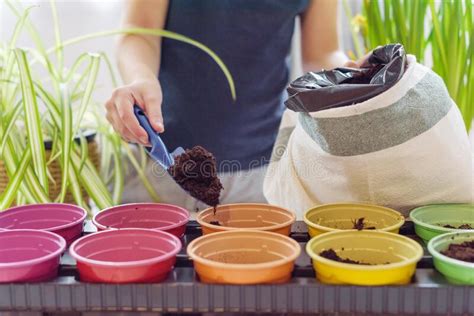 Kinderen Vullen Kleurrijke Potten Met Aarde Voor Het Kweken Van