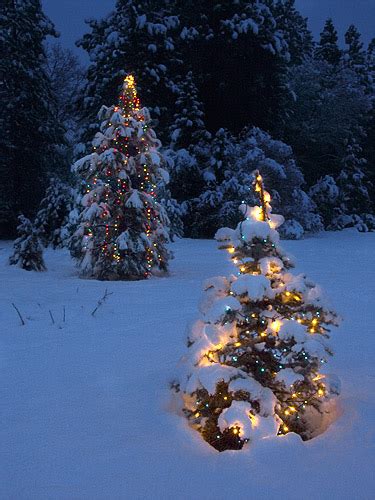 Christmas Tree Lights In The Snow Anthony Dunn Flickr