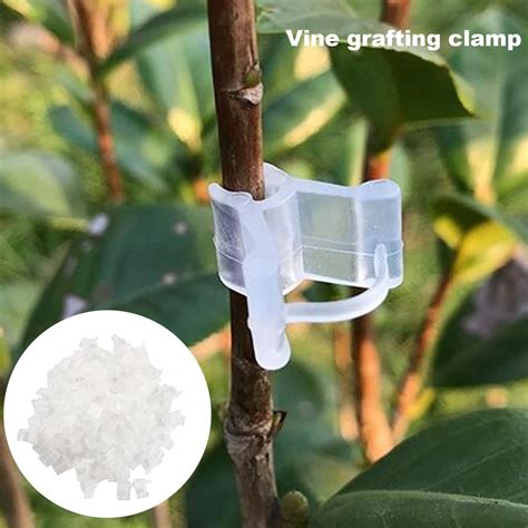 50pcs Special Grafting Clip Reusable Tomato Seedling Plant Supports For