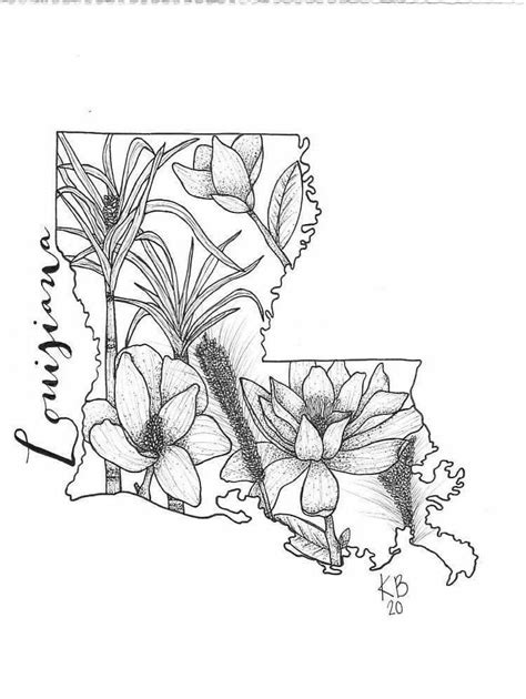 Hand Drawn Louisiana State Flower Sugar Cane Etsy How To Draw