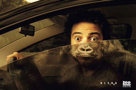 20 Funny And Creative Ads Using Animals Amazing Creatures