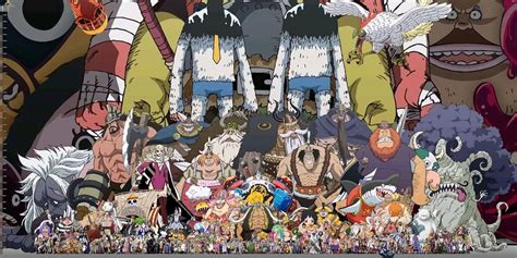 Height Comparison Of Different Characters Of One Piece Onepiece
