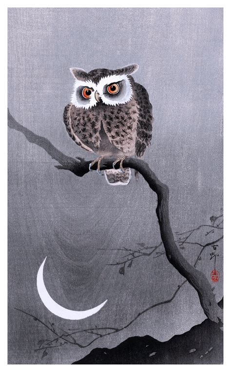 Owl Moon Art Vintage Free Stock Photo Public Domain Pictures