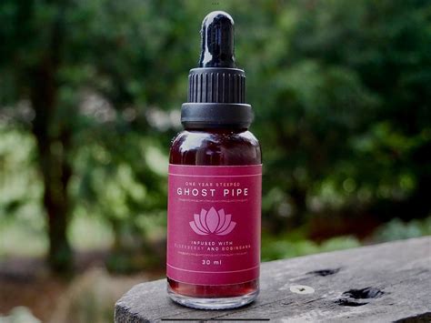 Ghost Pipe Tincture W Bobinsana Year Steeped Ghost Pipe Etsy Uk