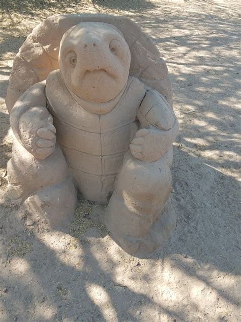 Turtle Sand Sculpture Carefree Sand Art Sand Sculptures Sea Sculpture