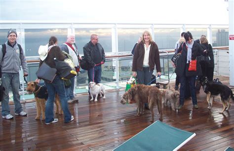 If you have a query regarding your pet, don't hesitate to give us a call on 0330 123 4850 prior to booking and our friendly team will be happy to help. 11 Summer Cruises That You Can Take With Your Dog - BarkPost