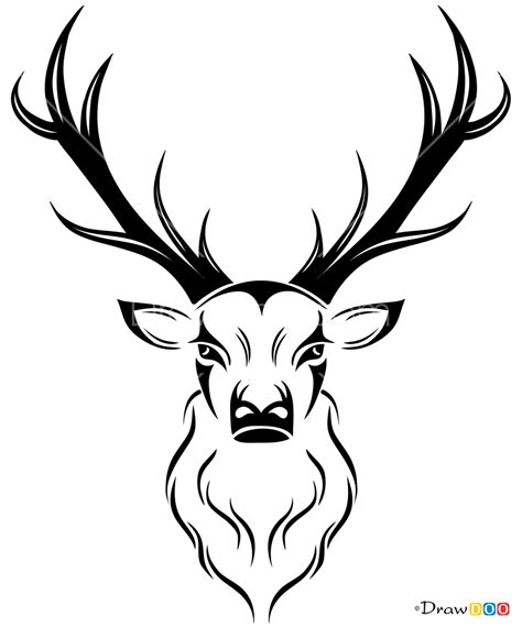 How To Draw Tribal Deer Tattoo Deer