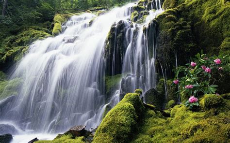 Beautiful Forest Waterfall Desktop Wallpapers 1280x800