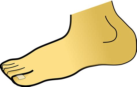 20 Free Human Foot And Foot Vectors Pixabay