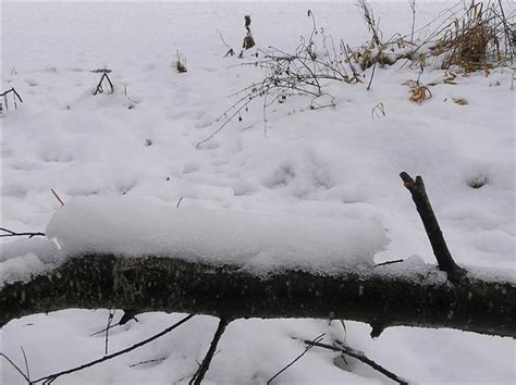 Snow Detail Cranny © Kenneth Allen Cc By Sa20 Geograph Britain