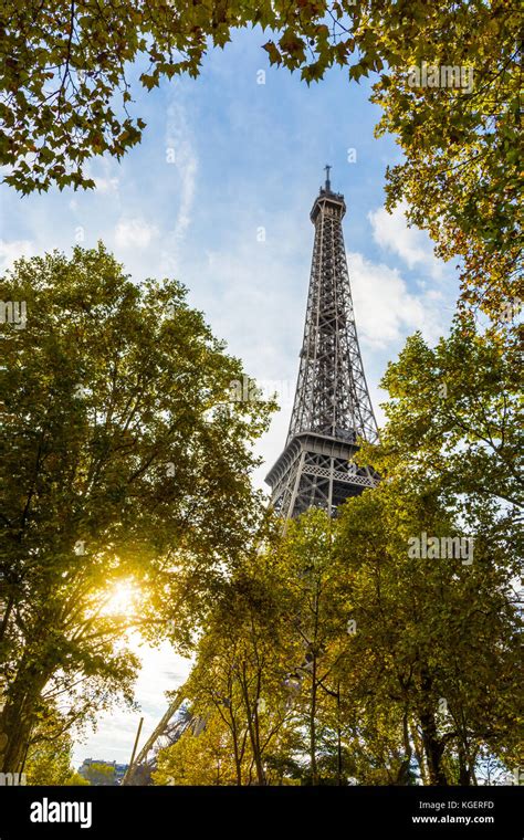Eiffel Tower Through Trees Paris Hi Res Stock Photography And Images