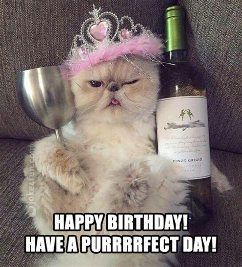 Birthday Cat Meme Tumblr