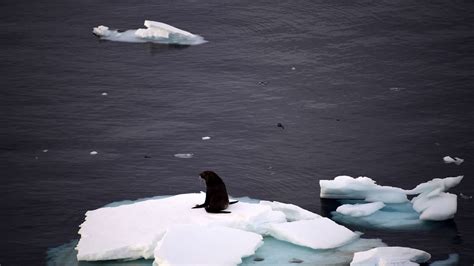 Antarktis Gletscher Schmelzen Aber Nicht Nur Wegen Des Klimawandels