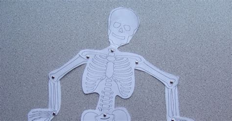 Chipmans Corner Preschool B Is For Bones Skeleton Puzzle