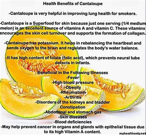 24 Impressive Benefits Of Cantaloupe You Must To Know My Health Only