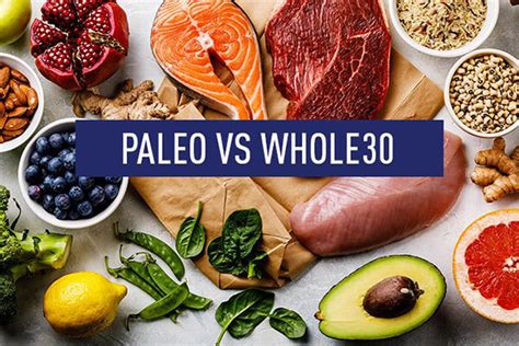 Paleo And Whole30 Foodie Suite