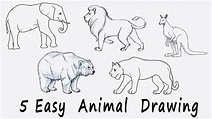 🟢 5 Easy Animal Drawing for Kids - YouTube