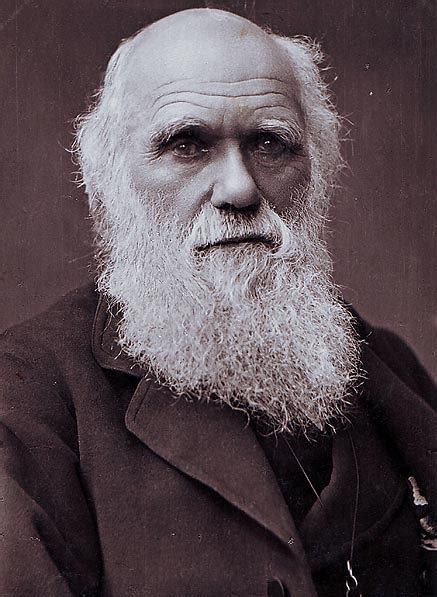 Charles Darwin Alchetron The Free Social Encyclopedia