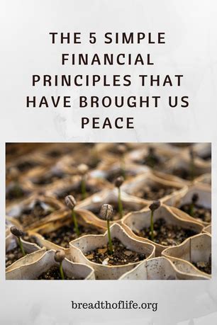 The 5 simple financial principles that have brought us peace | Principles, Financial, Peace
