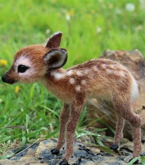 The 100 Cutest Animals Of All Time List Inspire Cute Animals Baby