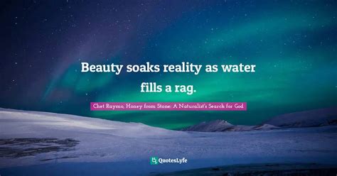 Beauty Soaks Reality As Water Fills A Rag Quote By Chet Raymo