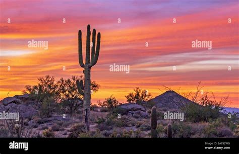 Vibrant And Brilliant Colored Arizona Desert Sunset Off Hiking Trail In