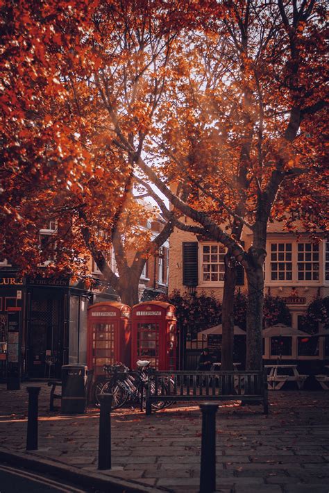 Autumn In Richmond Up On Thames London Autumn Scenery London