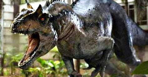 5 out of 5 rating (20) (reviewed by 20). Jurassic World D-Rex Hybrid Dinosaur Gets a New Name?
