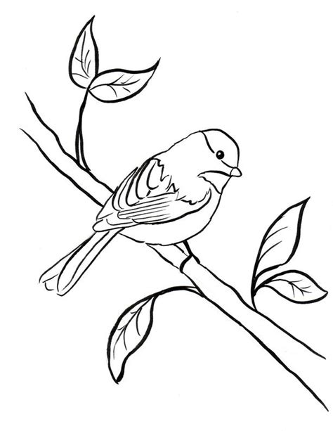 See the presented collection for chickadee coloring. Chickadee Coloring Page - Samantha Bell