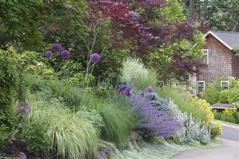 Transform the dullest of driveways into a sensational but low maintenance showstopper january to december: Low Maintenance Plants for "Lazy" People | Garden Design Ideas