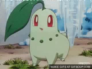Chikorita GIF Find Share On GIPHY