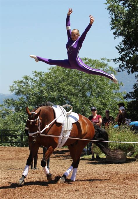 178 Best Images About Equestrian Vaulting On Pinterest