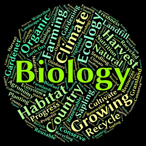 Free Photo Biology Word Represents Animal Kingdom And Biological