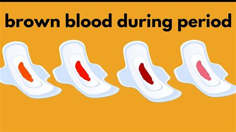 Brown Discharge Brown Colour Blood During Period Vaginal Discharge
